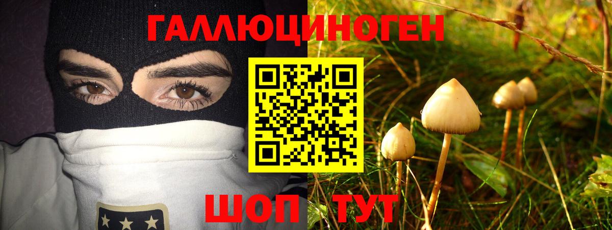 Галлюциногенные грибы Cubensis  Вход с VPN  Серпухов 