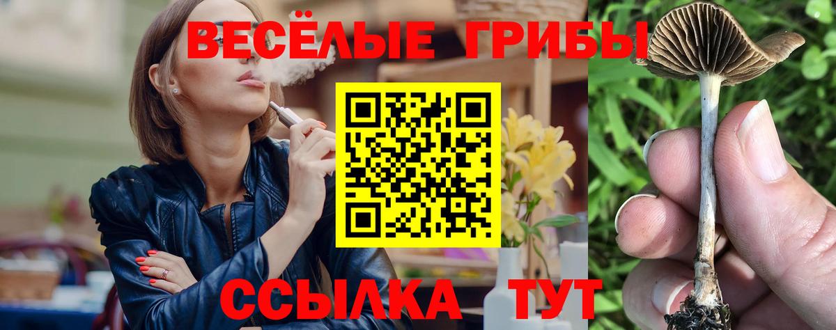 Галлюциногенные грибы прущие грибы Серпухов