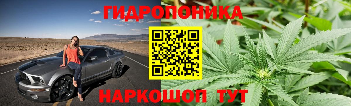 Бошки марихуана семена  Вход с VPN  Шишки марихуана планчик  Серпухов 